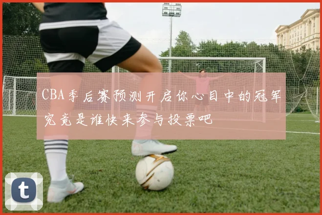 CBA季后赛预测开启你心目中的冠军究竟是谁快来参与投票吧