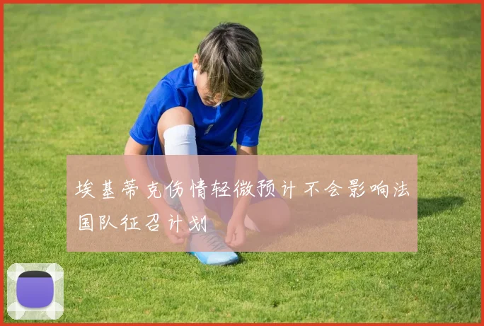 埃基蒂克伤情轻微预计不会影响法国队征召计划